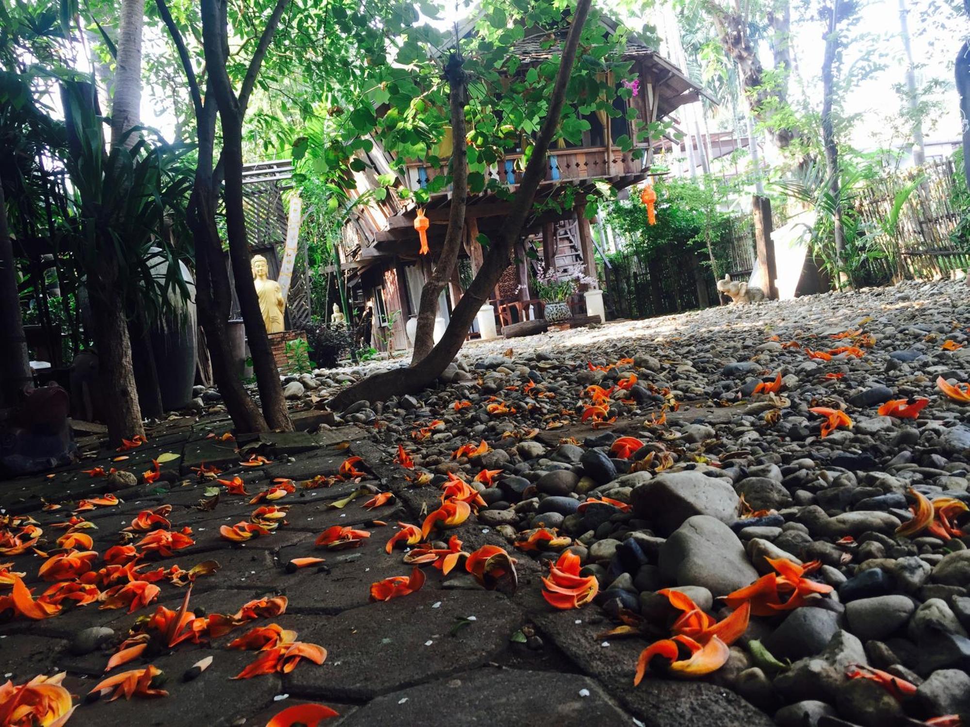 Baanbooloo Village Chiang Mai Dış mekan fotoğraf
