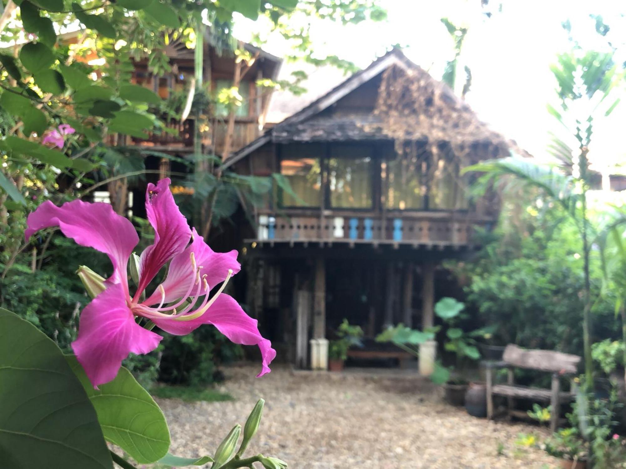 Baanbooloo Village Chiang Mai Oda fotoğraf